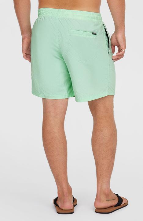 Actual product image O'Neill VERT 16" SWIMSHORTS (M)