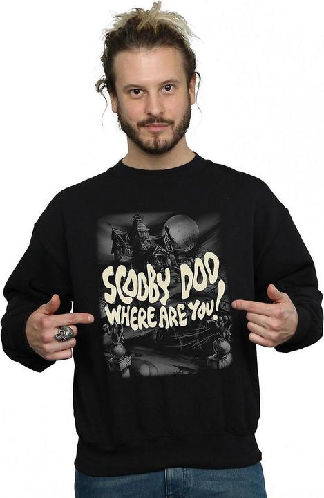 Produktbild Scooby Doo Where Are You? Sweatshirt (L)