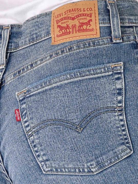 Actual product image Levis 10020248 (W31/L30)