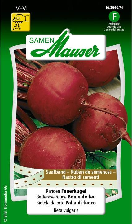Actual product image Samen Mauser Edge fireball (Vegetable seeds)