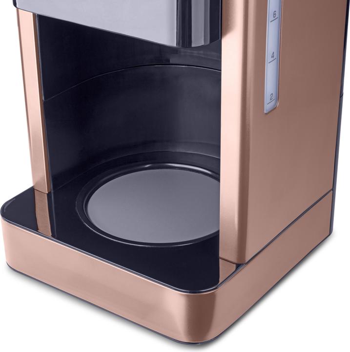 Productafbeelding Fakir Aroma Grande goudroze