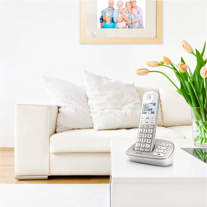 Actual product image Philips Xl4951s/38