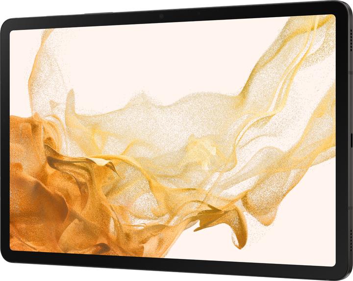 Actual product image Samsung Galaxy Tab S8 (WLAN only, 11", 256 GB, Graphites)