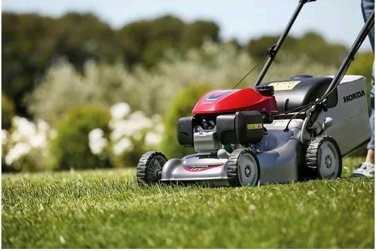 Produktbild Honda HRG 466 SK EH (Benzinbetrieb)