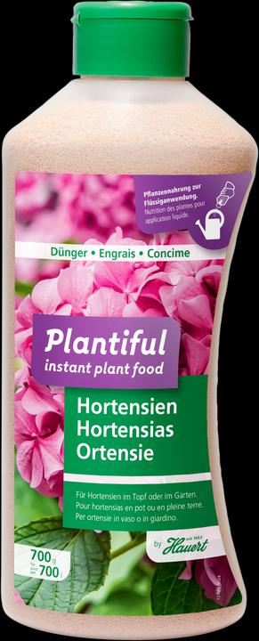 Actual product image Plantiful Hortensien 0.7 kg (0.70 kg)
