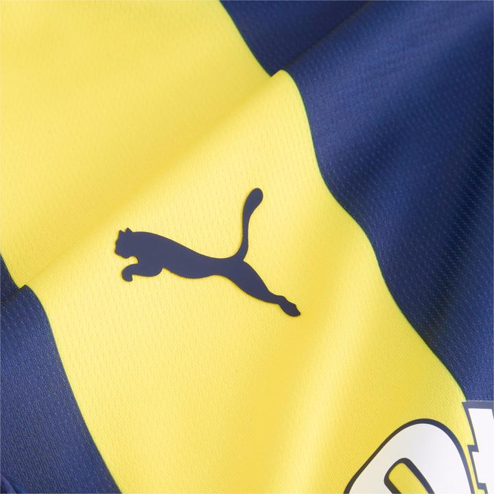 Actual product image Puma FSK Home Jersey Replica Jr (164)