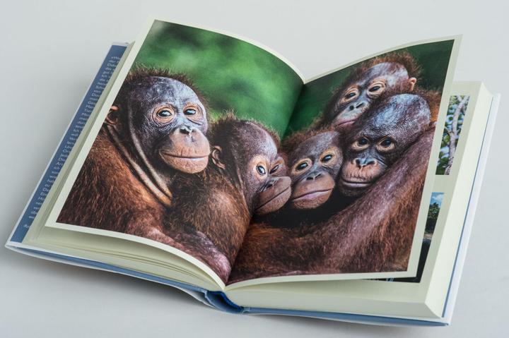 Actual product image Mission Erde – Die Welt ist es wert, um sie zu kämpfen (German, Robert Marc Lehmann, 2021)