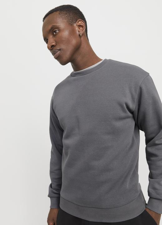 Actual product image Jack & Jones Jjebradley Sweat Crew Noos (M)