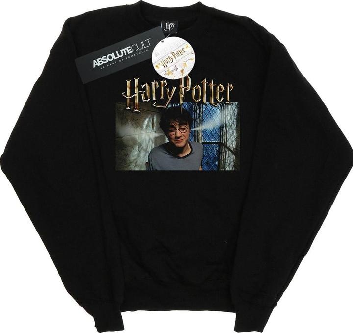 Steam Ears Sweatshirt (XL)