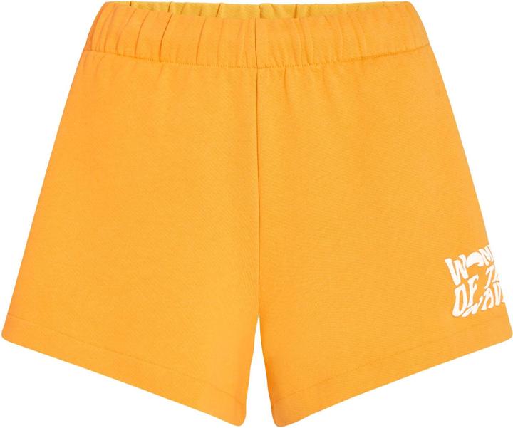 Actual product image O'Neill Women Of The Wave Sweat Shorts (M)