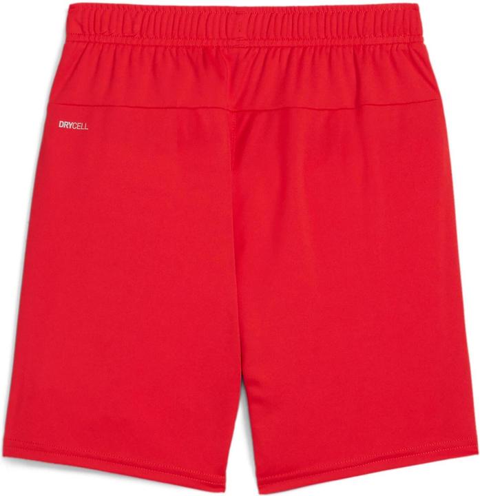 Actual product image Puma teamGOAL Shorts Jr (L)
