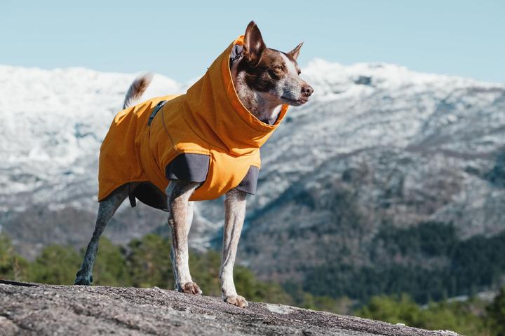 Produktbild Hurtta Expedition Parka (S, M, Hundemantel)