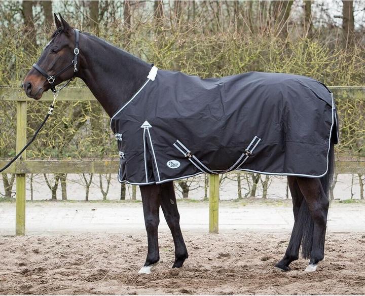 Harry's Horse Thor