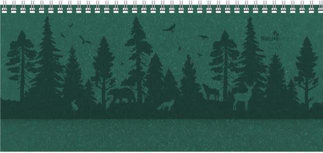 Produktbild Alpha Edition Tisch-Querkalender Nature Line Forest 2026 - Tisch-Kalender - Büro-Kalender quer 29,7x13,5 cm - 1 (Deutsch)