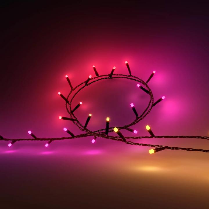 Productafbeelding Philips Hue Festavia (EU-stekker) (20 m)