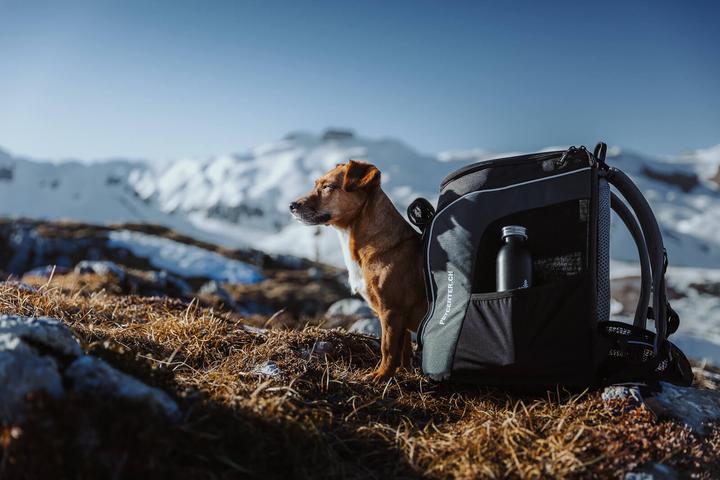 Produktbild Deuter Hunderucksack (Hund, Atmungsaktiv)