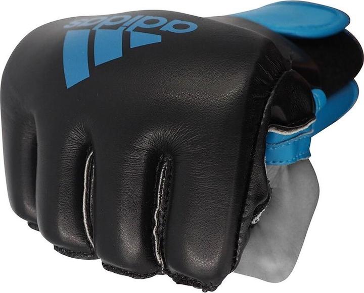 Productafbeelding adidas Grappling Training (L)
