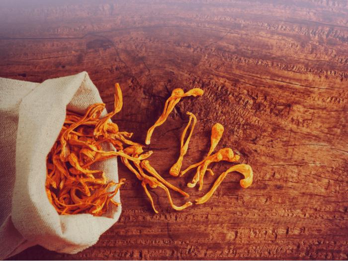 Image du produit Zimmerli Adaptogene Poudre de Cordyceps (BIO) (1 pièce(s), Poudre, 100 g)