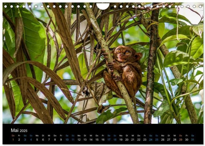 Image du produit Philippinen Foto Wandkalender 2025 (Wandkalender 2025 DIN A4 quer), Monatskalender (A4, Allemand)