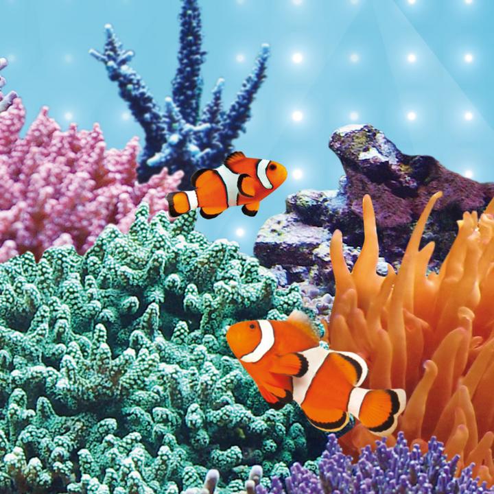Produktbild Juwel Aquarium Blue (LED, 14 W)