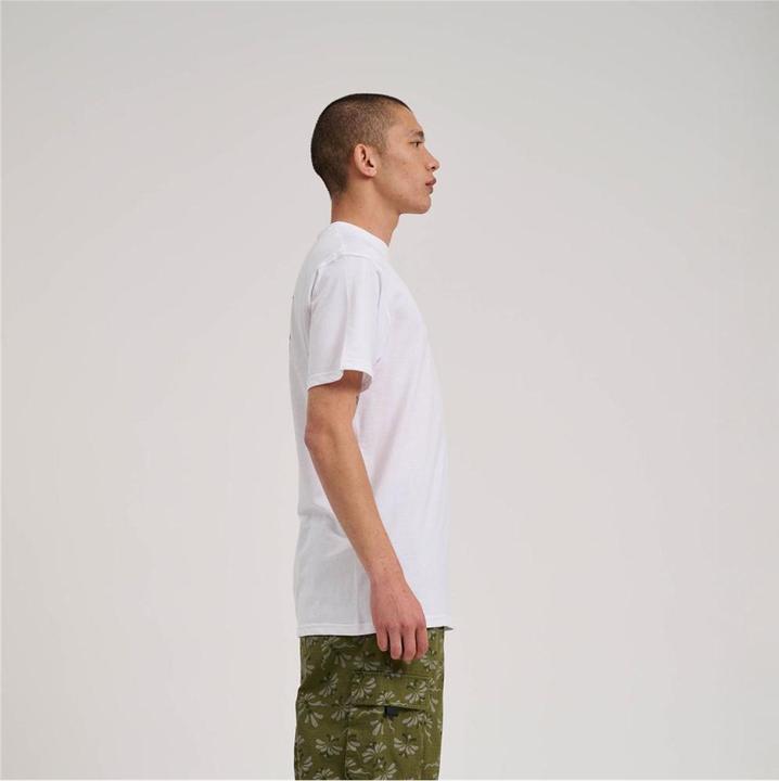 Actual product image Santa Cruz M41431 (M)