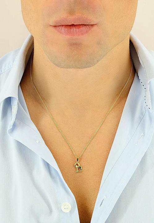 Image du produit Muau Capricorne (Or jaune 750/18K)