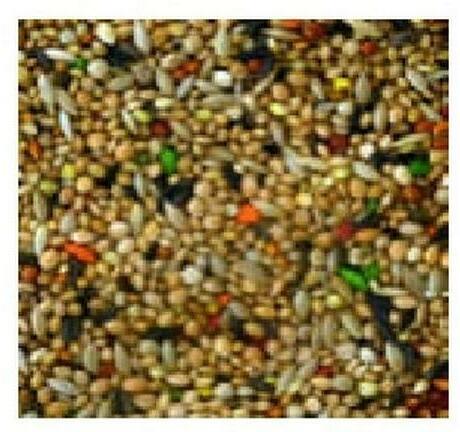 Produktbild Schweizer Vogelfutter Qualitäts-Mischung Exoten (1 x, 1 kg)