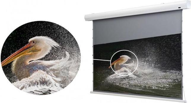 Actual product image Celexon Tension screen HomeCinema Dynamic Slate ALR 221x124cm 16:9 (100", 16:9)