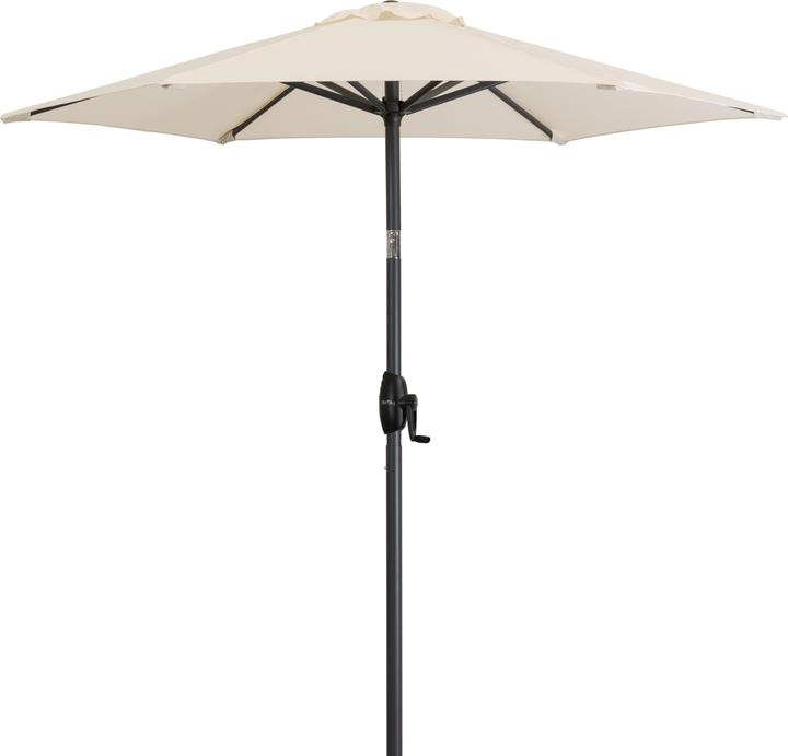 Derby Basic Lift Neo