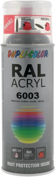 Dupli-Color Acryllack glänzend RAL 6003 olivgrün (Olivgrün, 0.40 l)