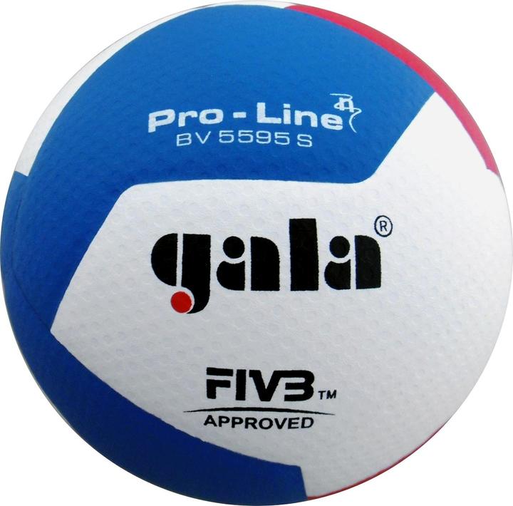 Gala Volleyball Pro-Line BV5595S (5)