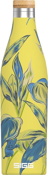 Actual product image Sigg Meridian Sumatra (0.50 l)