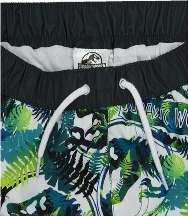 Actual product image Jurassic World Boys' shorts (128)