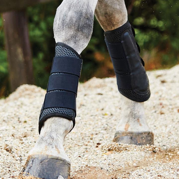Immagine prodotto Weatherbeeta Stinchiere per cavalli da allenamento