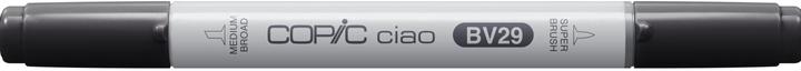 Immagine prodotto Copic Ciao Tipo BV - 29 (R43 - Bougainvillaea, 1 x)