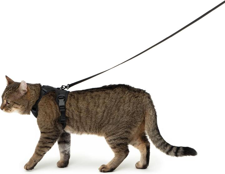 Image du produit LucyBalu EXPLORER Katzengeschirr (XS, S, Chat, Général)