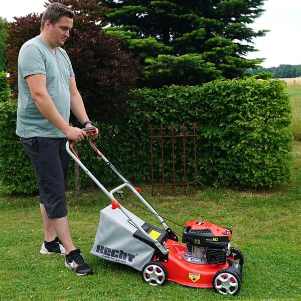 Produktbild Hecht 540 (Benzinbetrieb)