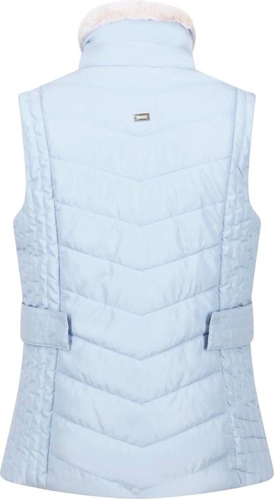 Actual product image Regatta Womens/Ladies Wildrose Baffled Gilet (36)