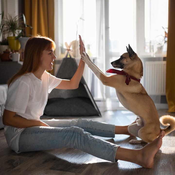 Productafbeelding Relaxdays Hondentent (Hondentent)