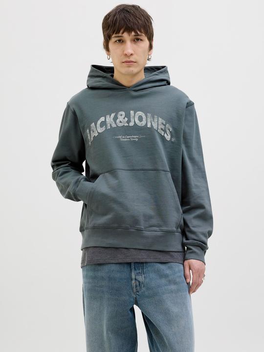 Image du produit Jack & Jones Logo Kapuzenpullover Kapuzenpullover (M)