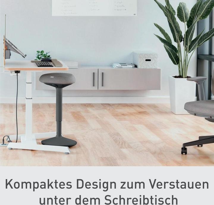 Produktbild Leitz Ergo Active