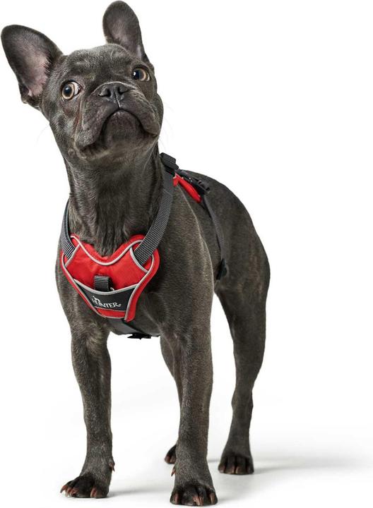 Produktbild Hunter Geschirr Divo (M, Hund, Allgemein)