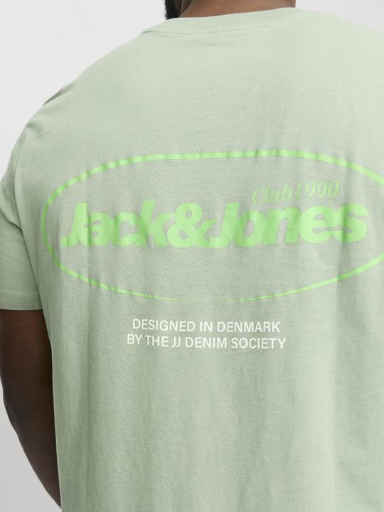 Image du produit Jack & Jones Jjebradley Graphic Tee Ss O-Neck Sn Pls (XXL)
