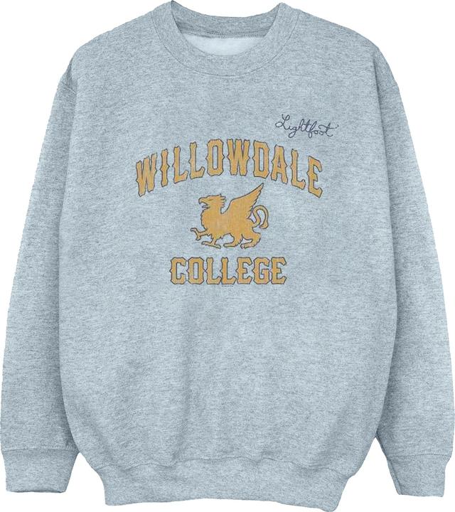 Produktbild Disney Onward Willowdale College Sweatshirt (5XL)