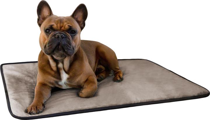 Actual product image Aspero Hanko and Lund Dog Bed and Blanket (Dog)
