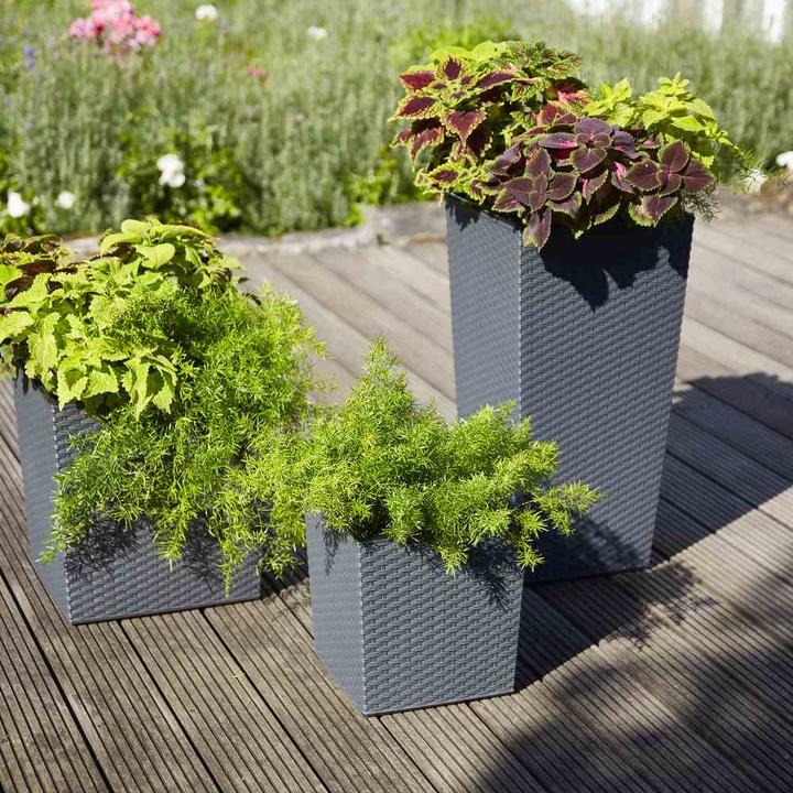 Produktbild Siena Garden Modern (30 cm)
