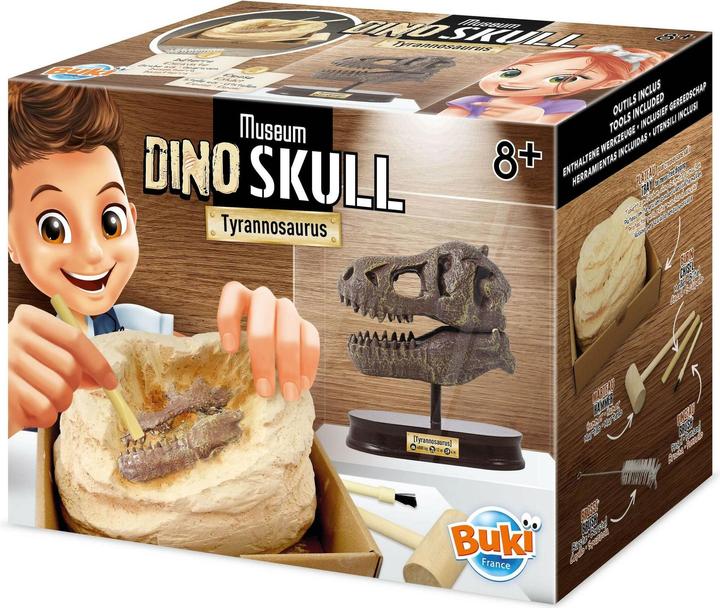 Immagine prodotto Buki Kit per l'esperimento del cranio di dinosauro - Tyrannosaurus