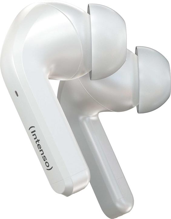 Image du produit Intenso Bourgeons blancs T302A (ANC, 2 h, Filaire)