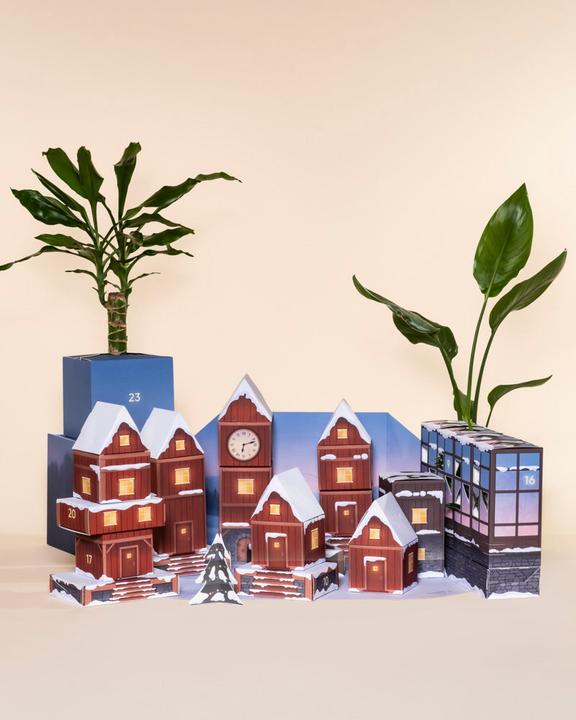 Image du produit feey Calendrier de l'Avent des plantes (60 cm)