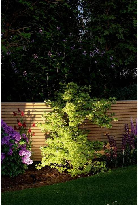 Produktbild Paulmann Outdoor Plug & Shine Sting Starterset (520 lm, IP67)